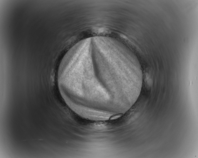 X0000088410668200706121415