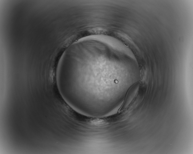 X0000088410669200706121415