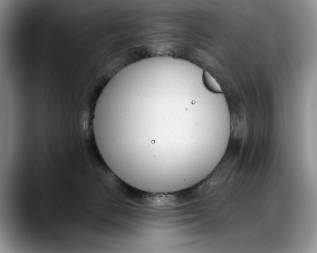 X0000088410670200706121415