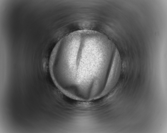 X0000088410671200706121415