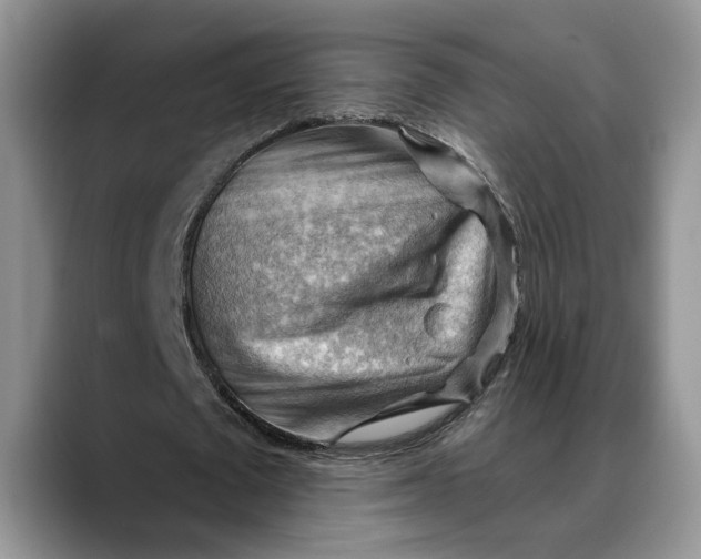 X0000088410673200706121415