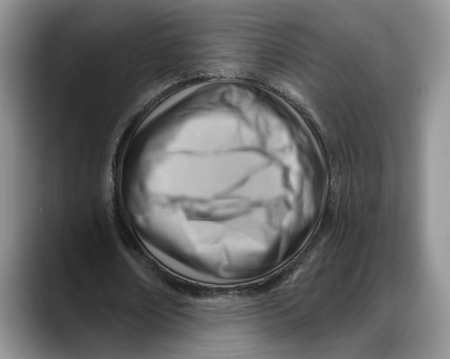 X0000088410674200706121415