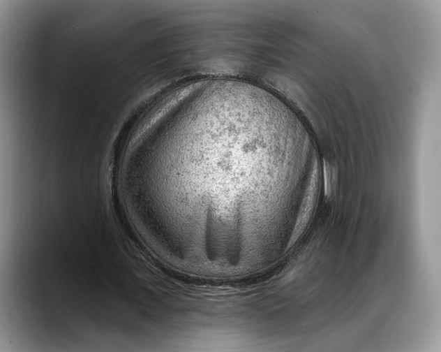 X0000088410675200706121415