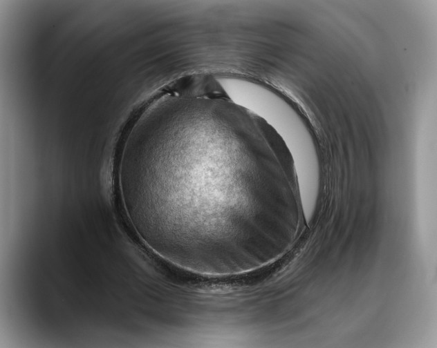 X0000088410677200706121415