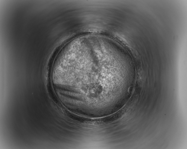 X0000088410679200706121415