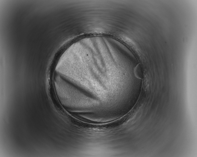 X0000088410680200706121415