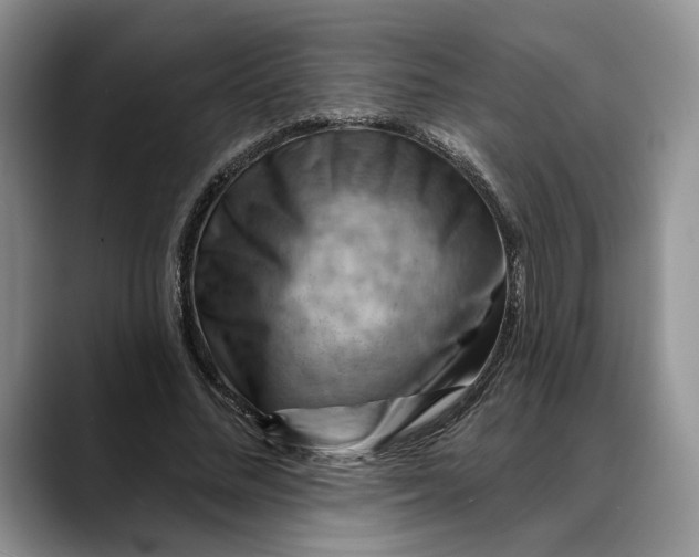 X0000088410684200706121415