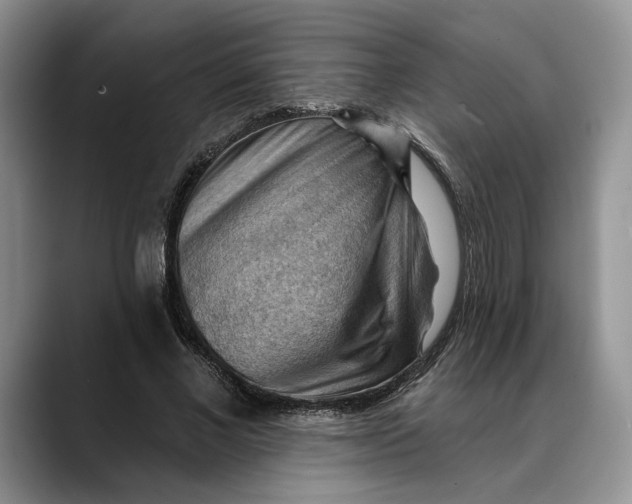 X0000088410685200706121415