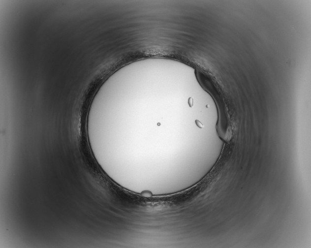 X0000088410686200706121415