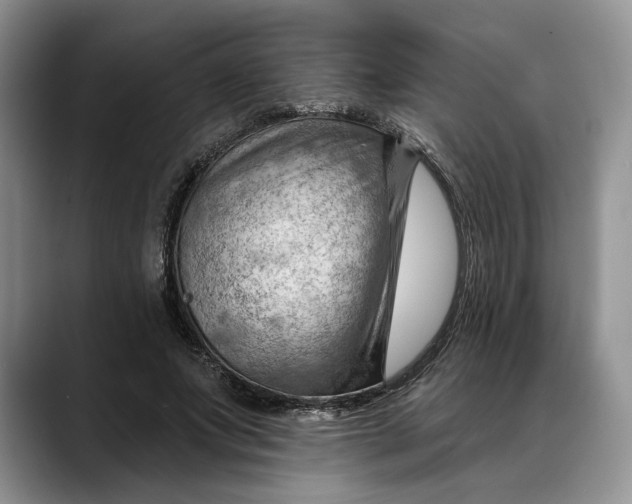 X0000088410687200706121415