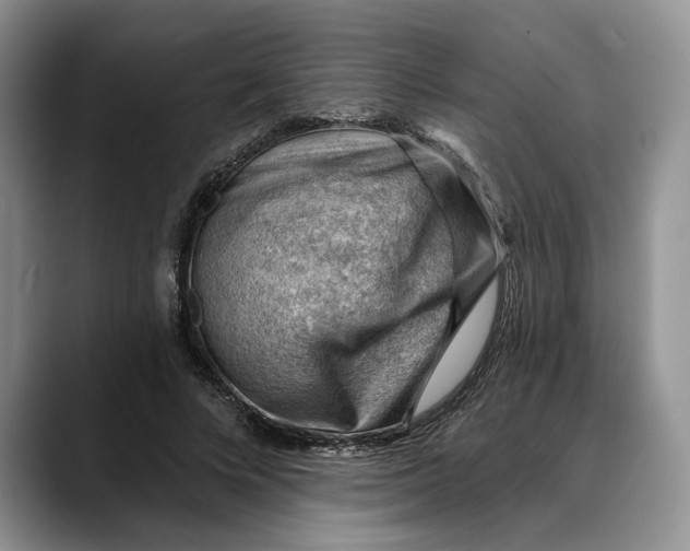 X0000088410688200706121415