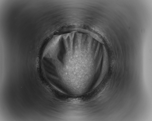 X0000088410689200706121415