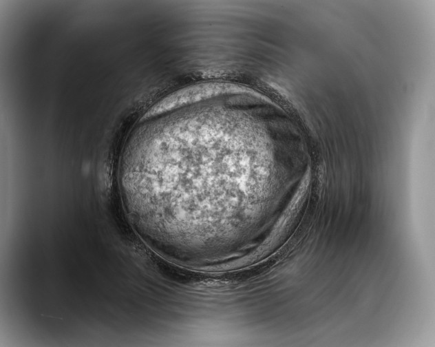 X0000088410691200706121414