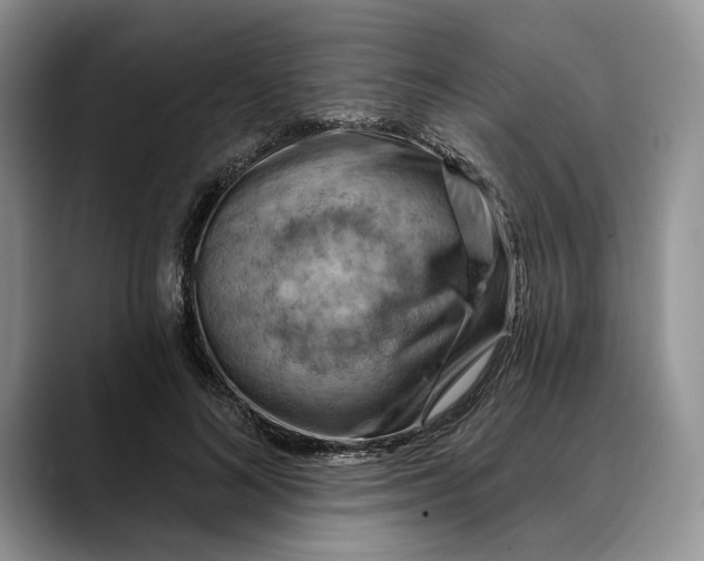 X0000088410692200706121414