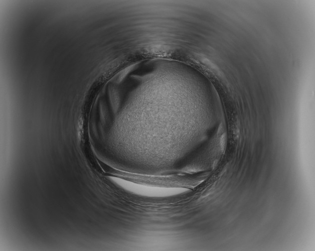 X0000088410693200706121414