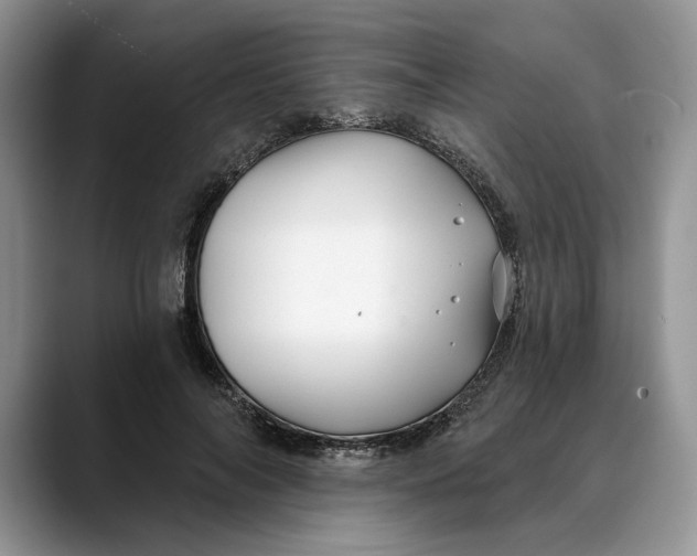 X0000088410694200706121414