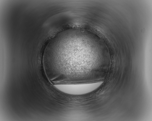 X0000088410695200706121414