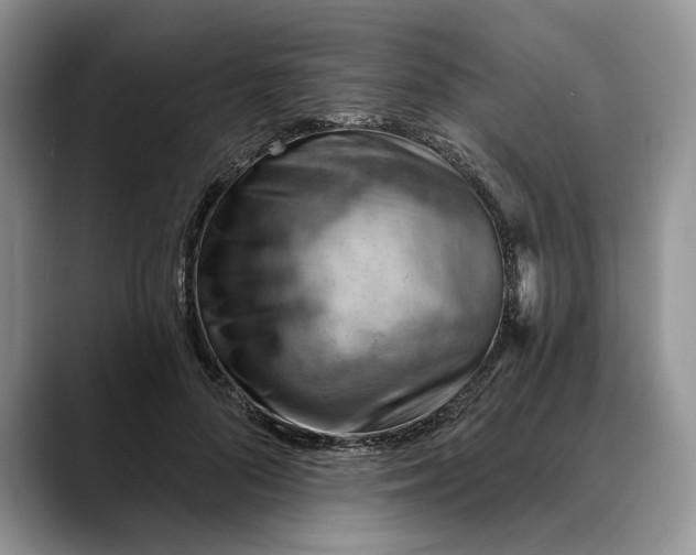 X0000088410696200706121414