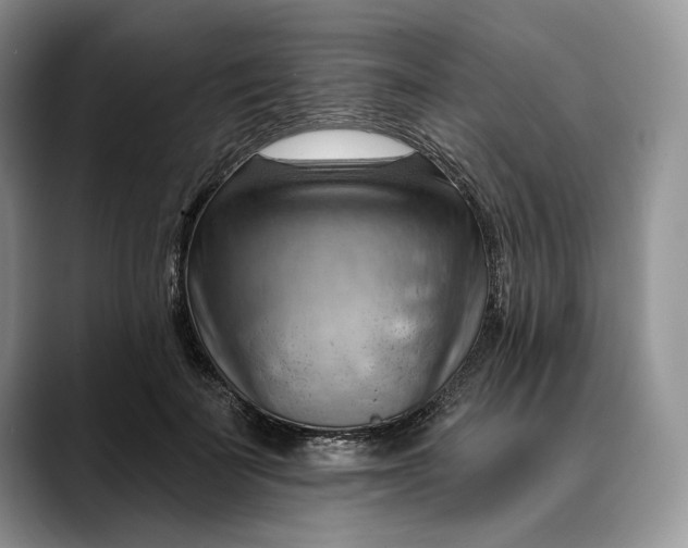 X0000088410699200706121414