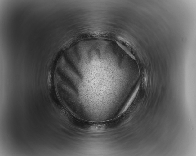 X0000088410700200706121414