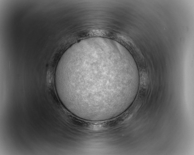 X0000088410701200706121414