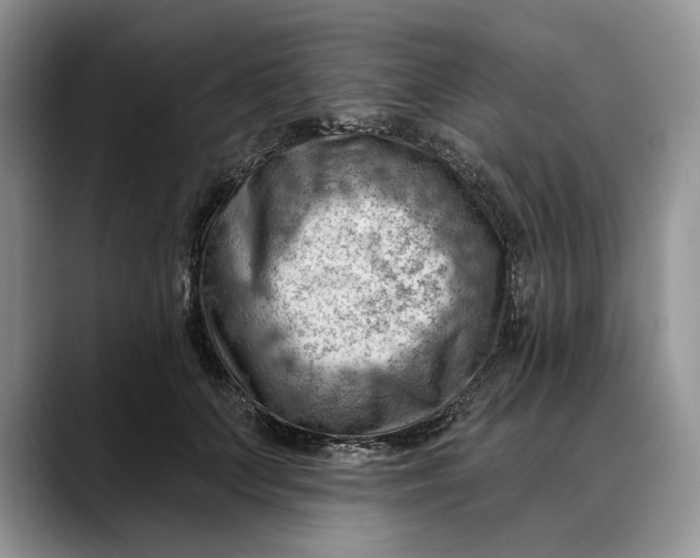 X0000088410703200706121414