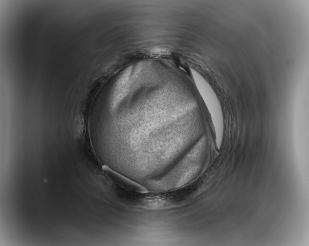 X0000088410704200706121414