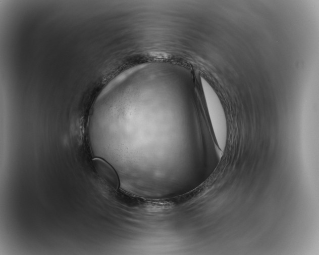 X0000088410707200706121414