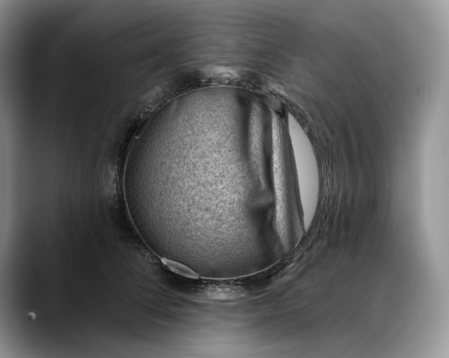 X0000088410708200706121414