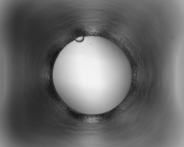 X0000088410710200706121414