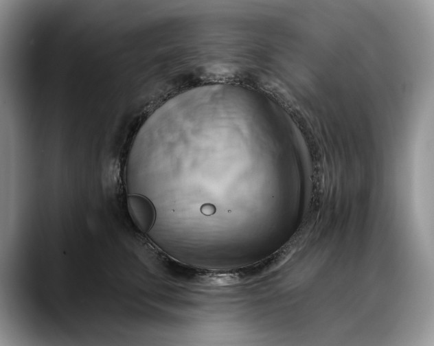 X0000088410711200706121414