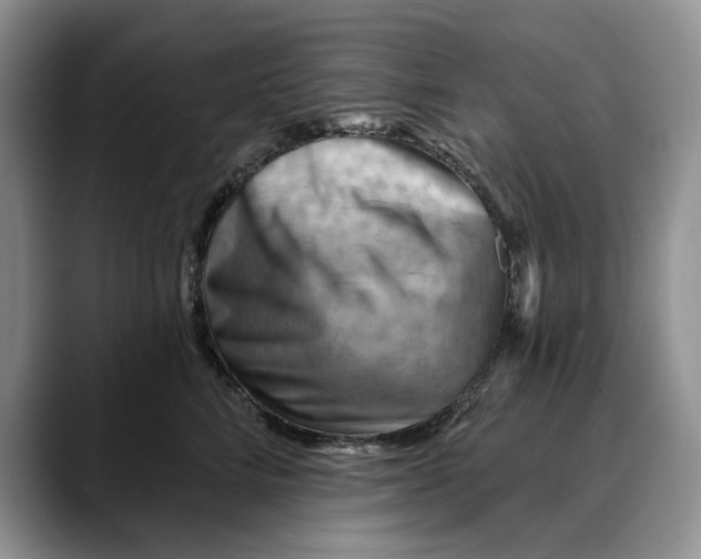 X0000088410712200706121414