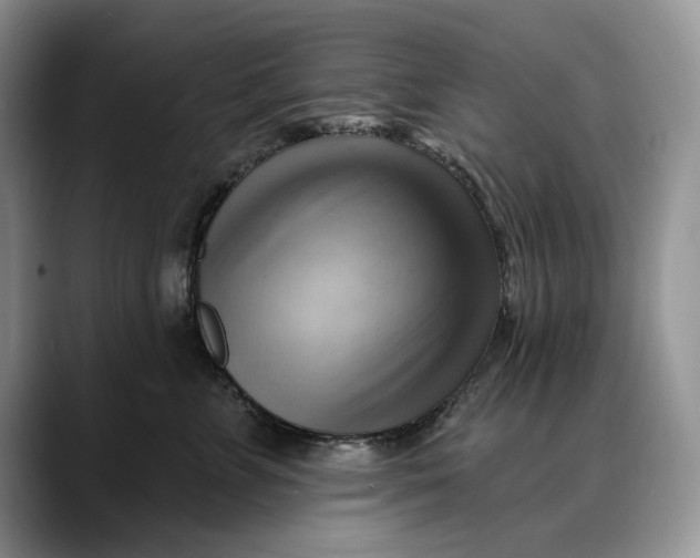 X0000088410715200706121414