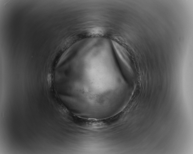 X0000088410716200706121414