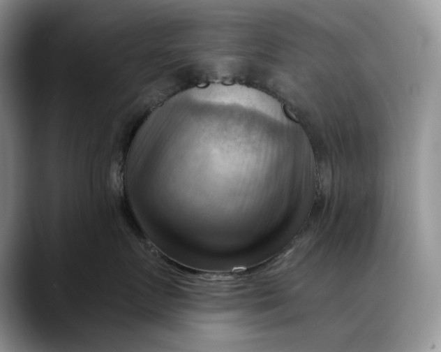 X0000088410719200706121414