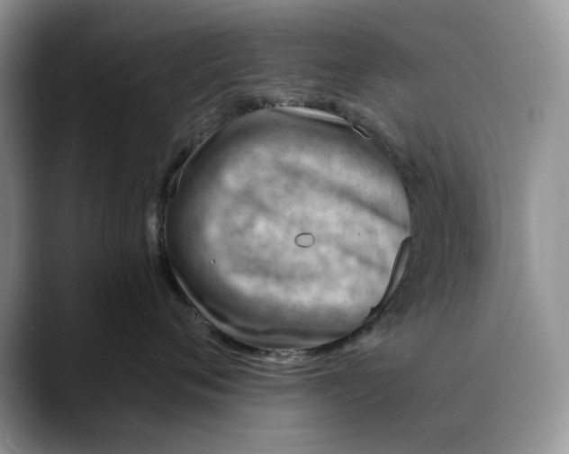 X0000088410720200706121414