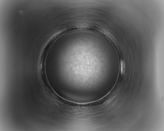 X0000088410723200706121414