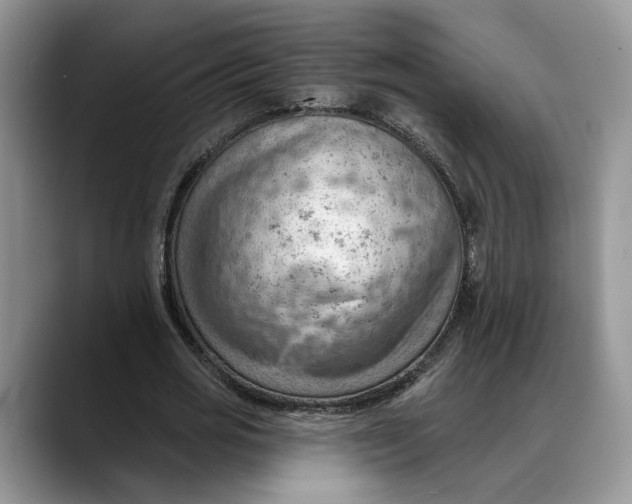 X0000088410725200706121414