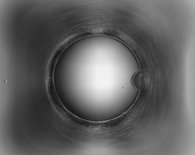 X0000088410728200706121414