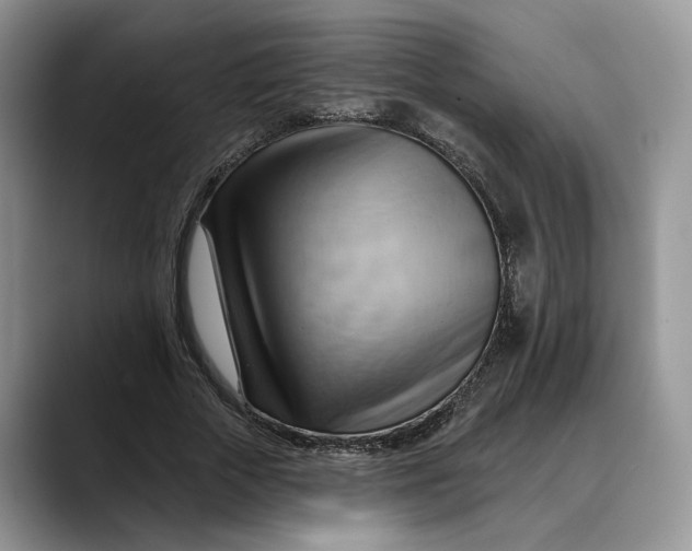 X0000088410729200706121414