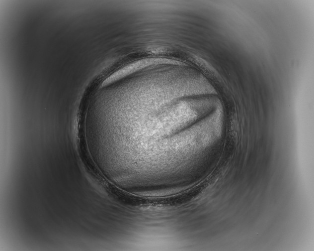 X0000088410730200706121414