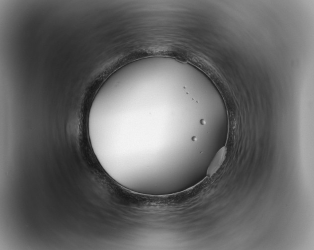 X0000088410732200706121414