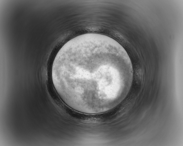 X0000088410734200706121414