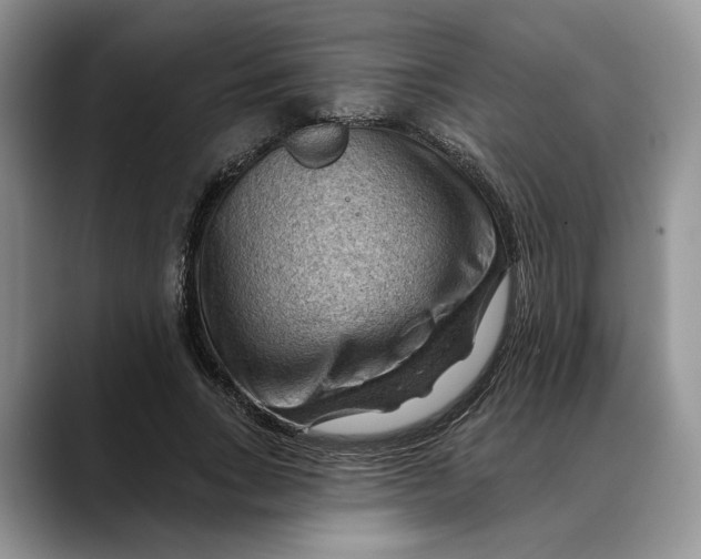 X0000088410735200706121414