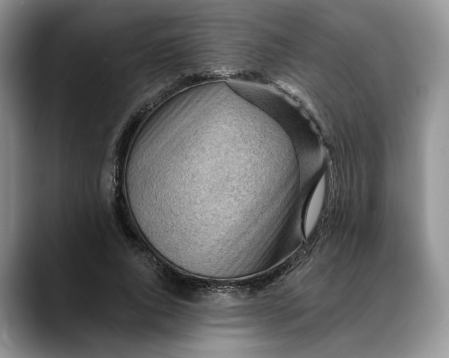 X0000088410736200706121414