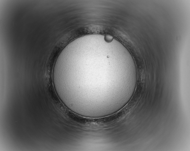 X0000088410737200706121414