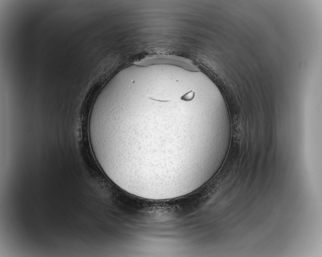 X0000088410738200706121414