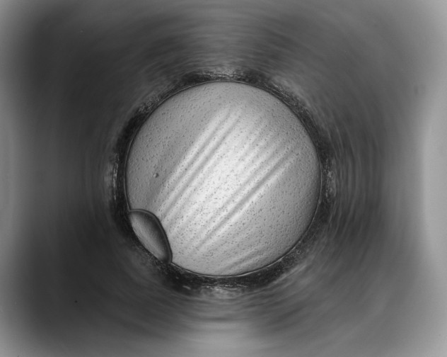 X0000088410739200706121414