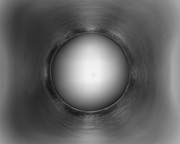 X0000088410740200706121414