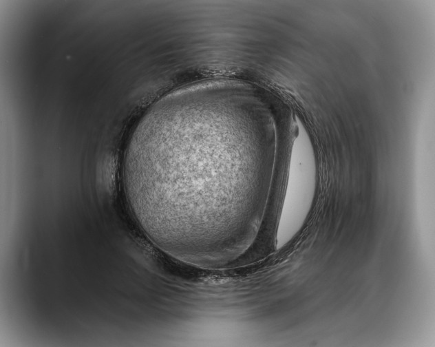 X0000088410742200706121414